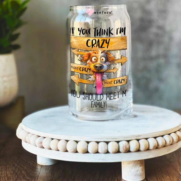 If you Think I m Crazy You Should Meet My Family 16oz Libbey Glass Can UV DTF or Sublimation Decal Transfer For Sale - Image 3
